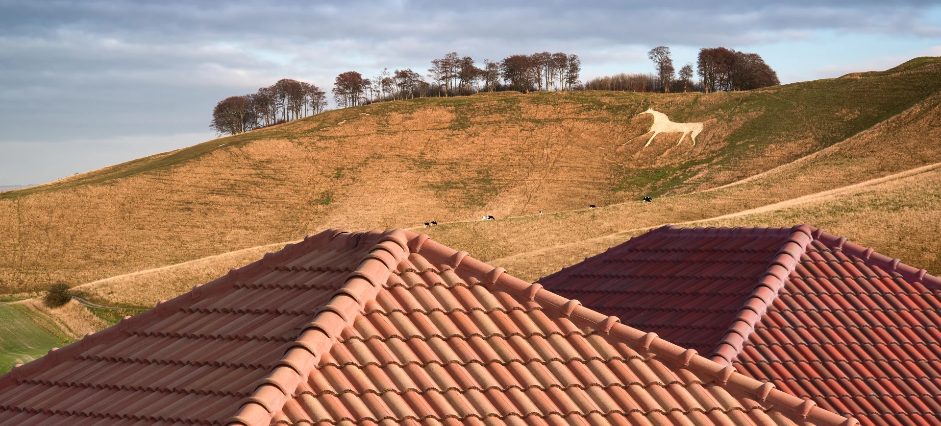roof and horse