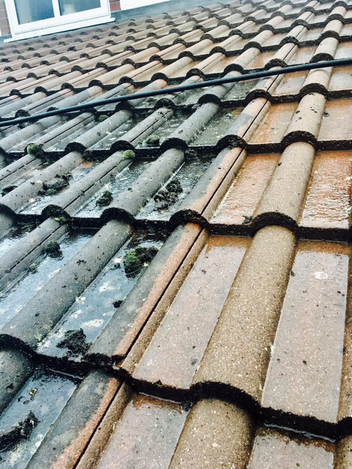 pitched roof wiltshire
